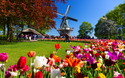 Tulpenblüte Holland 4 Tage