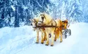 Winterwunderland im Bayerischen Wald 3 Tage