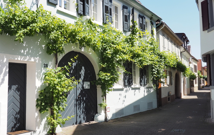 Deidesheim ? Rieslingstadt in Rheinland-Pfalz